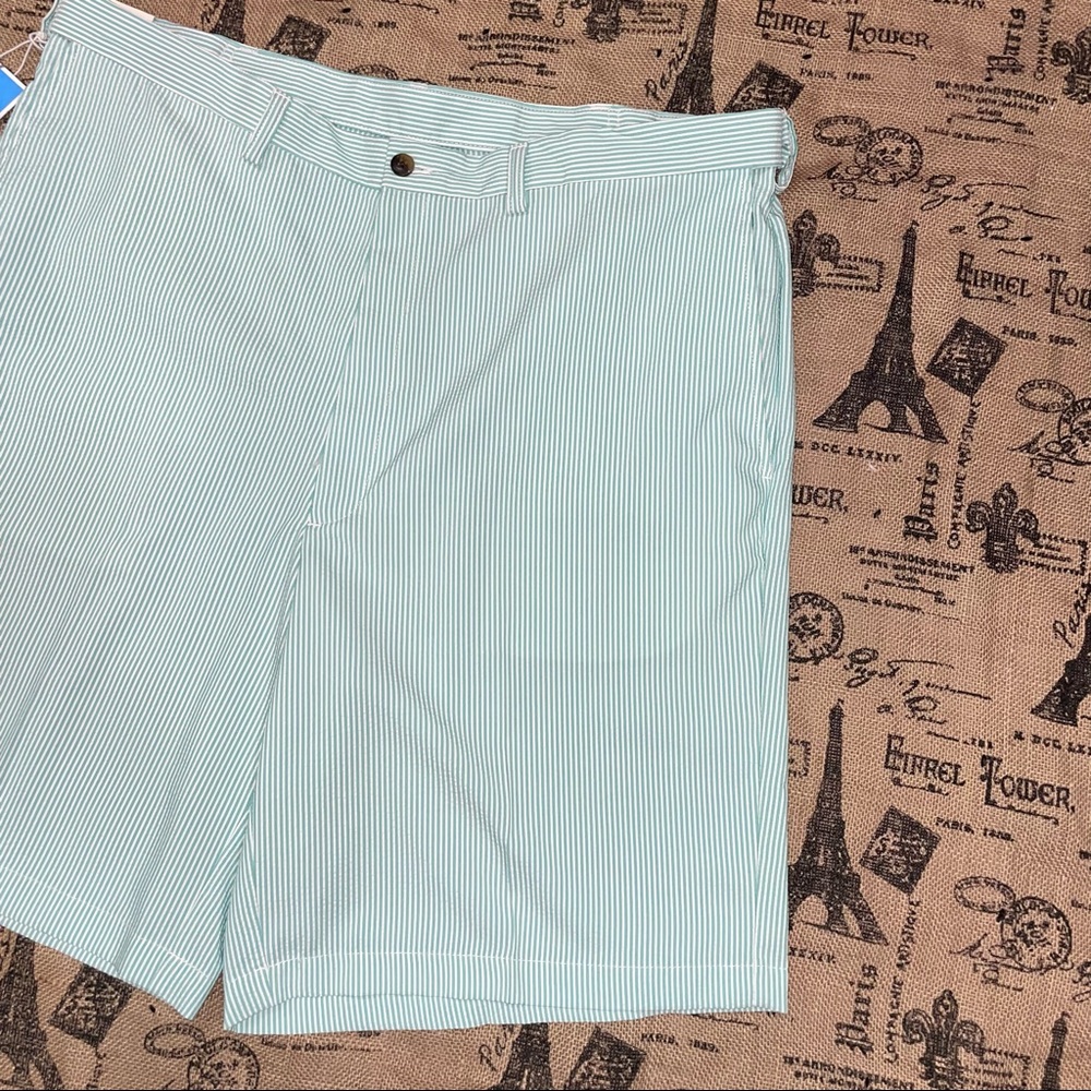Haggar NWT! Seersucker Cool18 Turquoise/White Striped Short Size 38W - Picture 4 of 12